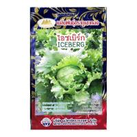 ราคา เมล็ดผักกาดแก้ว ไอซเบิร์ก Iceberg MT LT 11 ปริมาณ200เมล็ด ตราภูเขาทอง เมล็ดผักสลัด เมล็ดพันธุ์ผัก เมล็ดพันธุ์ไอซเบิร์ก เมล็ดผักสวนครัว (20136296411)