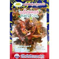 ราคา เมล็ดพันธุ์ ผักสลัด มากกว่า20ชนิด ตราภูเขาทอง กรีนโอ๊ค เรดโอ๊ค ผักเคล เคลใบหยิก เฟนเนล บีทรูท มินิคอส ซังซู ไอซเบิร์ก กรีสคอส เรดคอส (20137875409)