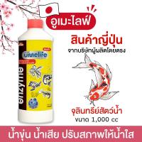 ราคา อูเมะไลฟ์ สัตว์น้ำ 1000cc จุลินทรีย์น้ำใส ปรับสภาพน้ำบ่อปลา บ่อปลาคราฟ จุลินทรีย์ตู้ปลา ลดแอมโมเนีย (22249441431)