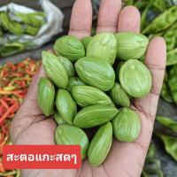 ราคา สะตอแกะเปลือก สะตอแกะ แกะตามออเดอร์ ขนาด500กรัม1กิโล มีสินค้าพร้อมส่ง (22384468194)
