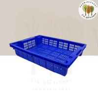 ราคา ลังปลาหมึก ลังเนื้อทุเรียน ตะแกรงหมึก ลังหมึก ลังห้องเย็น ตะกร้าเตี้ย ลังโปร่งสลับซ้อน Food grade 407 (22141903199)