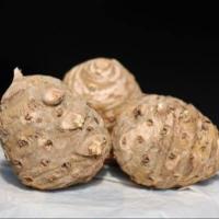 ราคา 300 กรัม ว่านชักมดลูก ว่านหมาวัด ว่านทรหด ว่านหำหด ว่านพญาหัวศึก ว่านการบูรเลือด Temulawak หัวสด (21593786158)