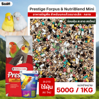 ราคา Prestige Forpus x Nutri Blend Mini อาหารนกฟอพัส เลิฟเบิร์ด หงส์หยก ค็อกคาเทล และนกแก้วพันธุ์เล็ก แบ่งขาย 500G 1KG (22388011268)