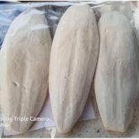 ราคา ถูกที่สุด กระดองหมึก ลิ้นทะเล กระดองปลาหมึก พร้อมส่ง (11286925454)