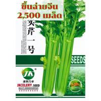 ราคา เมล็ดขึ้นฉ่าย ขึ้นฉ่ายก้านขาว ขึ้นฉ่ายก้านแดง เมล็ดนำเข้า สายพันธุ์ OP (21461889776)