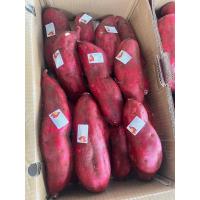 ราคา มันหวานญี่ปุ่น ตรา LQ Size L ลังละ 5 กิโลกรัม เนื้อสีเหลือง มันปลูกที่เวียดนาม (22095920733)