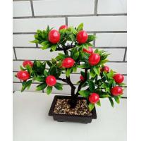 ราคา ต้นไม้นำโชคสำหรับห้องรับแขกปีใหม่2024ต้นไม้ผลไม้จำลองต้นไม้พีชแอปเปิ้ลส้มกระถางพลาสติกดอกไม้ปลอมสำหรับตกแต่ง (12105401038)
