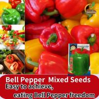 ราคา พืชที่ปลูกง่าย เมล็ดพันธุ์ พริกหวาน พริกหยวกหวาน พริก Sweet Pepper Seed สีแดง สีเขียว สีส้ม สีเหลือง สีขาว Giant Bell Pepper Seeds สำหรับการหว่านเมล็ด เมล็ดพืชจริงกลางแจ้งในร่ม เมล็ดพันธุ์พืชบอนไซสำหร
