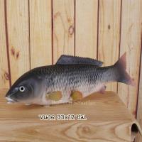 ราคา ปลาปลอม ปลา สัตว์น้ำ ตัวอย่างปลา ตกแต่งร้านอาหาร ตกแต่งบ้าน ของเล่น พร๊อพถ่ายรูป โมเดลปลา งานยางPU (20550286252)