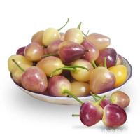 ราคา พริกสีรุ้งถูกที่สุด เมล็ดพันธุ์พริกสีรุ้ง 150 เมล็ดพริก 7 สีโตไว พุ่มใหญ่ปลูกประดับสวยมาก (22421663599)