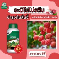 ราคา ลิ้นจี่ โตไว ใบเขียว ผลใหญ่ แข็งแรง ผลผลิตดี อะมิโนโปรตีนจำเป็นสำหรับพืช 18 ชนิด อะมิโนแรปเตอร์ โดย ไดโนเร็กซ์ (18510166892)