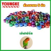 ราคา Youngke ห่วงขานกหัวจุก ห่วงขานกกรงหัวจุก ห่วงนกหัวจุก ห่วงขานกเขาไหญ ห่วงขานกเขาใหญ่ ปลอกขานกเขา ห่วงขานกหัวจุก ห่วงขานก หวงขานกแก้ว (21257186360)