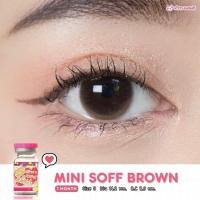 ราคา คอนแทคเลนส์ Mini Soft Gray Brown ยี่ห้อ kitty kawaii ค่าสายตาปกติ 1000 (17283521619)