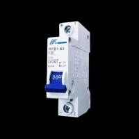 ราคา AC Circuit Breaker เซอร์กิต เบรกเกอร์ RFB1 63 1P 2P (20590275604)