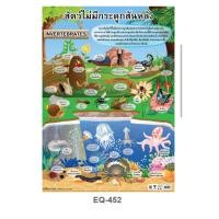 ราคา สัตว์ไม่มีกระดูกสันหลัง EQ 452 โปสเตอร์สื่อการสอน หุ้มพลาสติก ขนาด 50 70 cm (18919221792)