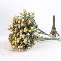 ราคา ช่อดอกไม้ปลอมดาวรุ่งทำจากพลาสติกหลายสีมีหลายสี10 1ชิ้นกิ่งไม้ดอกไม้ปลอมประดิษฐ์สำหรับตกแต่งบ้านงานแต่งงานคริสต์มาส (20457760762)