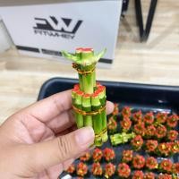 ราคา ไผ่กวนอิม ไผ่พร้อม กระถาง โอ่งขาว มินิมอล ขนาด 2 นิ้ว (14673776493)