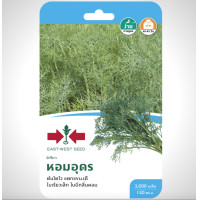 ราคา ผักชีลาว หอมอุดร SD F1 098 ผักซอง ศรแดง ผักชีลาว หอมอุดร เมล็ดพันธุ์ ผักชี เมล็ดพันธุ์ลูกผสม เมล็ดพันธุ์ผัก ผักสวนครัว ผักศรแดง (20116185264)