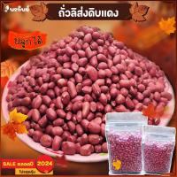 ราคา เมล็ดพันธุ์ถั่วลิสงแดง 50เมล็ด พร้อมปลูกค่ะ (21926079782)