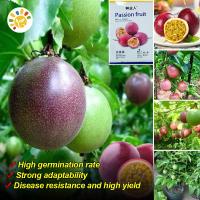 ราคา เมล็ดพันธุ์ เสาวรส บอนสี Red Yellow Passion Fruit Seeds เมล็ด ผลไม้เสาวรส เสาวรสหวาน เมล็ดผลไม้ พันธุ์ผลไม้ ต้นผลไม้ เมล็ดพันธุ์ผัก เมล็ดพันธุ์ผลไม้ บอนไซ พันธุ์ไม้ผล ผักสวนครัว ปลูกง่าย ปลูกผัก สวนคร