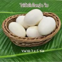 ราคา ไข่ ไข่ปลอม ไข่เป็ด ไข่ไก่ปลอม ไข่นกกะทา เหมือนจริง ไข่แต่งร้านค้า ตู้อาหาร แต่งบ้าน ไข่ของเล่น บทบาทสมมติ พร๊อพถ่ายรูป (20217407055)