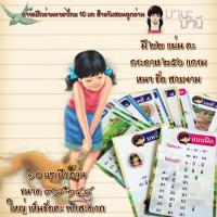 ราคา การ์ดฝึกอ่านภาษาไทย มานี มานะ Card ManeeMana (13168553948)
