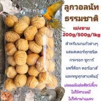 ราคา Walnut ลูกวอลนัทสำหรับสัตว์เลี้ยง วอลนัทอบแห้ง สำหรับนกแก้ว กระรอก หนูต่างๆ แบ่งขาย200g 500g 1kg (22222907339)