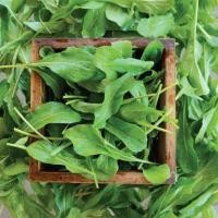 ราคา 100 เมล็ด ผักสลัด ร็อคเก็ต Rocket leaves Arugula Seeds (22178396136)