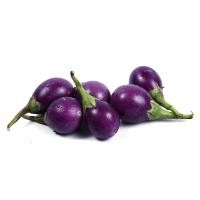 ราคา 100 เมล็ด มะเขือ เมล็ดผัก ผักปลอดสารพิษ ผักออแกนิค ผักสวนครัว ปลูกได้ทุกฤดู Eggplant Seeds สายพันธุ์ มะเขือม่วง (21643034695)