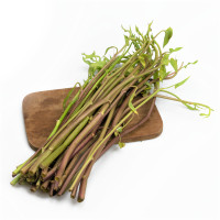 ราคา 200 เมล็ด ผักบุ้ง สายพันธุ์ นาแดง ผักบุ้งแดง Vegetable Seeds (21784138400)