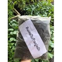 ราคา ดินผสมใบก้ามปู 1กก ถุงละ 19 บาท ดินผสมใบก้ามปู พร้อมปลูกบอนสี และ ต้นไม้อื่นๆ ทำให้ต้นไม้สวยงานออกดอกผลดีเยี่ยม เหมาะสำหรับปลูกบอนสีะ (14192335147)