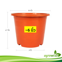 ราคา กระถาง กระถางต้นไม้ ขนาด 6 นิ้ว สีอิฐ (21643641962)