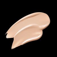 ราคา HERA แบล็ค คุชชั่น ฟาวน์เดชั่น เอสพีเอฟ34 พีเอ ขนาด 15 กรัม รีฟิล (22147548984)