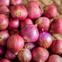 ราคา หอมแดง ตัดจุก ตรงปก หอมแดงไทย ศรีสะเกษ คุณภาพดี เนื้อแน่น หัวสวย รับประกันคุณภาพ บรรจุ 500 1000 กรัม (21185184128)