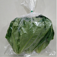 ราคา ตัดใหม่ทุกออเดอร์ กรีนคอส Green Cos Iผักสดปลอดสารพิษ ปลูกในห้องแอร์ innofarm (21790467202)