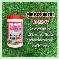 ราคา ปุ๋ย ปุ๋ยเกร็ด ปุ๋ยบำรุงใบ ต้น ดอก สำหรับไม้ฟอกอากาศ ไม้ดอก กุหลาบ แคคตัส (17698864840)