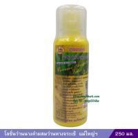 ราคา โลชั่นว่านนางคำผสมว่านหางจระเข้ แม่ใหญ่ฯ 250 มล (22159198529)