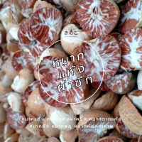 ราคา หมากแห้ง หมากแห้งผ่าครึ่ง หมากตากแห้ง dried areca nut หมากซีก หมากพลู หมากคัดคุณภาพ (21755648961)