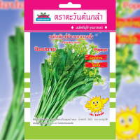 ราคา เมล็ดพันธุ์ กวางตุ้ง ป๊อปอาย ตราตะวันต้นกล้า (20044604928)