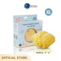 ราคา Chitida ฟองน้ำธรรมชาติแท้ 100 ฟองน้ำอาบน้ำเด็ก นุ่มมาก ใช้ได้นาน สายพันธุ์ Fine Silk (15648759115)