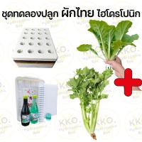 ราคา ชุดปลูก ชุดปลูกผักไทยและผักสลัด ชุดปลูกผักไฮโดร และอุปกรณ์ยกชุด เลือกเมล็ดผักเองได้ (22180070429)
