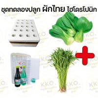 ราคา ชุดปลูก ชุดปลูกผักไทยและผักสลัด ชุดปลูกผักไฮโดร และอุปกรณ์ยกชุด เลือกเมล็ดผักเองได้ (22180070433)