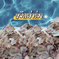 ราคา CODฟรีค่าส่ง หมึกผ่าร่วง ขนาด2 นิ้ว หมึกแก้ว ผ่าเล็ก ทอดกรอบ ทำสามรส อร่อย (22167339152)