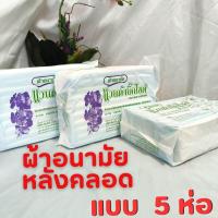 ราคา ผ้าอนามัยหลังคลอด เเพค 3 แวนด้าบิ๊กไซด์ ผ้าอนามัยแบบห่วงพร้อมสายคาด 1แพ็คมี10ชิ้น (20635162129)