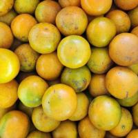 ราคา ส้มวาเลนเซีย ส้มนาเวล ส้มเมอร์คอท ส้มแมนดาริน ส้มเขียวหวาน ส้มสายน้ำผึ้ง ส้มโชกุน แพ็คละ 1KG (21114022897)