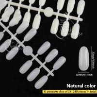 ราคา ชาร์ตสี พร้อมส่งทุกวัน ทรงไข่ oval แผ่นลองสีทาเล็บ บาร์ยาว ใส ขุ่น ทาได้ 240 สี ชาร์ตสีทาเล็บ แผ่นโชว์สีเล็บ โชว์สีเล็บ (21378802665)
