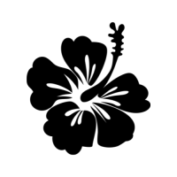 ราคา ตัวรีดติดเสื้อดอกชบา ลายใหม่ สวยๆ FP 02 รีดติดง่ายทุกเนื้อผ้า (21993657846)