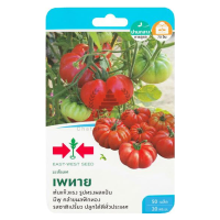 ราคา เมล็ดพันธุ์ มะเขือเทศฟักทอง เพทาย ตราศรแดง (7855194631)