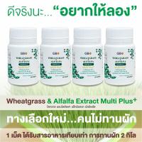 ราคา ผักเม็ด Wheatgrass Alfalfa Extract Multi Plus Q10 ฟรีค่าส่ง (14889338747)