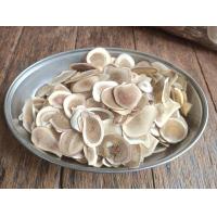 ราคา เขากวางอ่อนหั่นเเผ่น100 (22376882083)